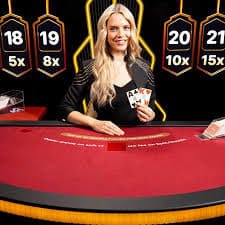 333bet vip